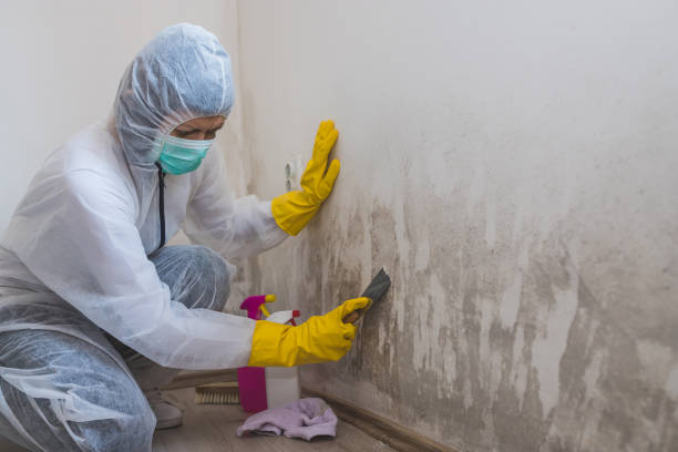 Asbestos and Lead Testing During Mold Inspection in Leesville, LA